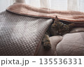 眠るキジトラ 135536331