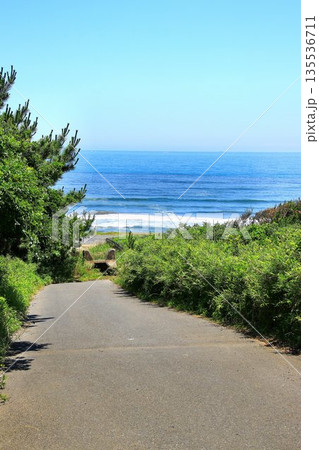 あの海・あの海岸… 鉾田市・荒地海岸 135536711