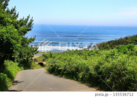 あの海・あの海岸… 鉾田市・荒地海岸 135536712
