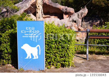 広島市安佐動物公園　ヒヒ山ビューポイント　看板 135538043