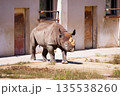 広島市安佐動物公園　クロサイ 135538260