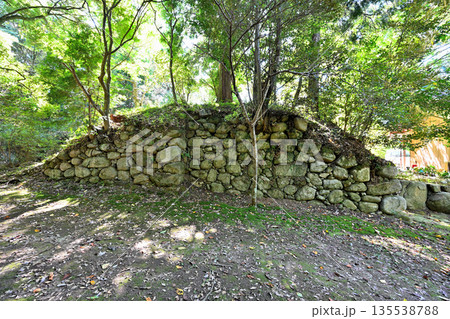 芭蕉公園として整備された　三重県伊賀市「福地城」跡の様子 135538788
