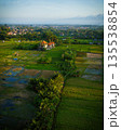 Aerial panorama of golden rice paddies in intricate patterns across Ubud valley, framed by palm trees. Highlights authentic Balinese subak irrigation, lush tropical farming in Gianyar regency 135538854