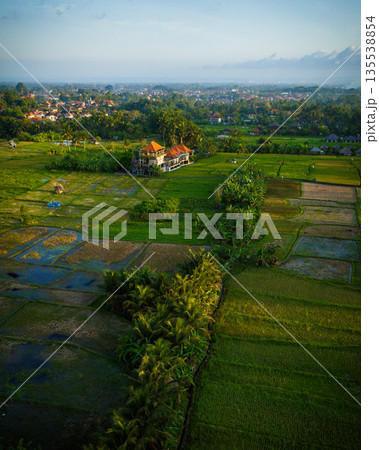 Aerial panorama of golden rice paddies in intricate patterns across Ubud valley, framed by palm trees. Highlights authentic Balinese subak irrigation, lush tropical farming in Gianyar regency 135538854