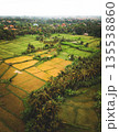 Aerial view of Ubud rice terraces enveloping traditional Balinese house with orange roof in Ubud countryside. Palm trees dot vibrant green paddies under soft morning light, peaceful Bali life 135538860