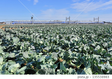 鉄道　私鉄：東武伊勢崎線　特急りょうもう11号　205F 200系 135538983