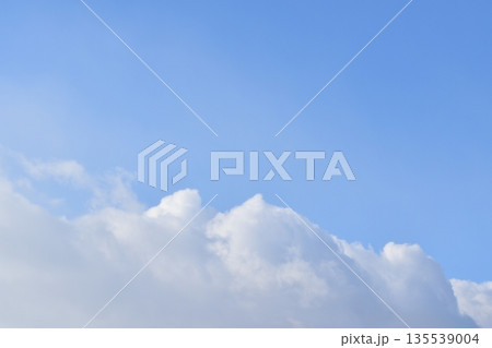 青空に浮かぶ雲 135539004