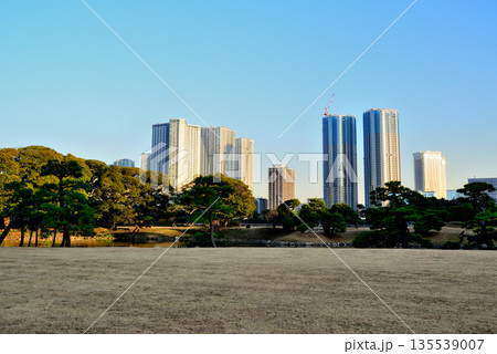 冬の浜離宮恩賜庭園 再開発が進む勝どき・豊海地区 冬の浜離宮恩賜庭園 再開発が進む勝どき・豊海地区 135539007