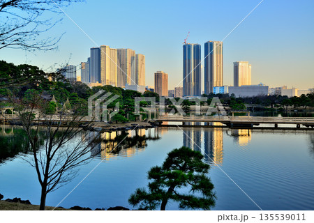 冬の浜離宮恩賜庭園 再開発が進む勝どき・豊海地区 冬の浜離宮恩賜庭園 再開発が進む勝どき・豊海地区 135539011