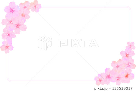 四角い桜の花びらフレーム 135539017