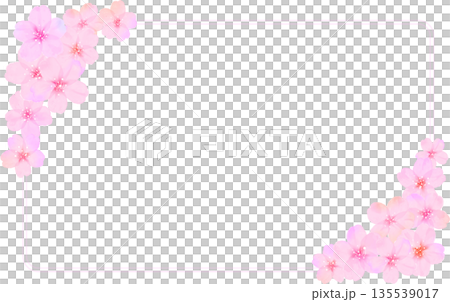 Square cherry blossom petal frame 135539017