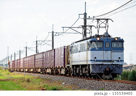 成田線 滑河-下総神崎 JR貨物 EF65-2095(新鶴見) 成田線 滑河-下総神崎 JR貨物 EF65-2095(新鶴見) 135539405