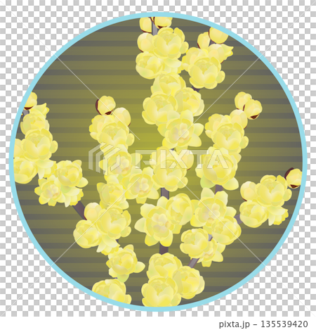 円形背景のついた蠟梅のイラスト 円形背景のついた蠟梅のイラスト 135539420