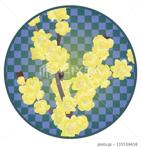 円形背景のついた蠟梅のイラスト 135539438