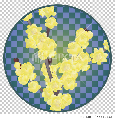円形背景のついた蠟梅のイラスト 135539438