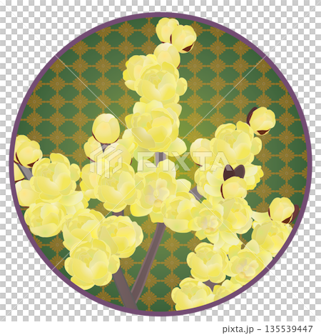 Illustration of wintersweet with a circular background Illustration of wintersweet with a circular background 135539447