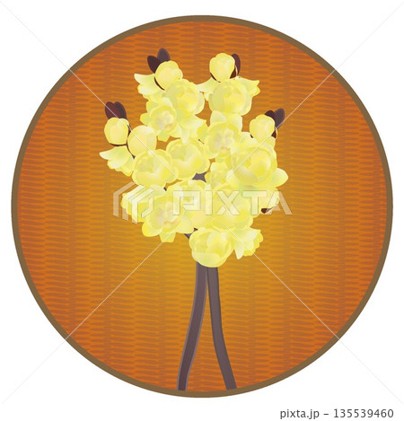 円形背景のついた蠟梅のイラスト 135539460