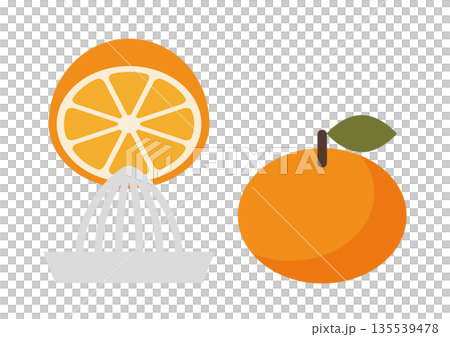 Flat illustration of squeezing a mandarin orange Flat illustration of squeezing a mandarin orange 135539478