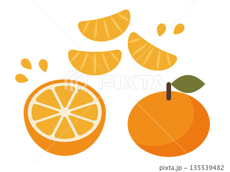 みかんとカットみかんと房のイラスト みかんとカットみかんと房のイラスト 135539482