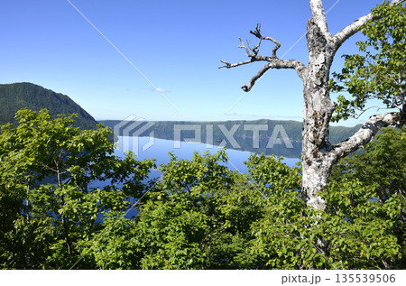 晴れた朝の新緑と神秘の湖面 135539506
