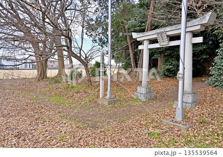 宮代町散歩:愛宕神社 埼玉県南埼玉郡宮代町和戸 宮代町散歩:愛宕神社 埼玉県南埼玉郡宮代町和戸 135539564