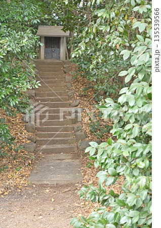 宮代町散歩：愛宕神社　埼玉県南埼玉郡宮代町和戸 135539566