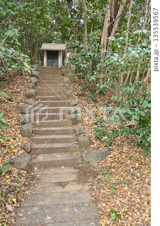 宮代町散歩:愛宕神社 埼玉県南埼玉郡宮代町和戸 宮代町散歩:愛宕神社 埼玉県南埼玉郡宮代町和戸 135539567