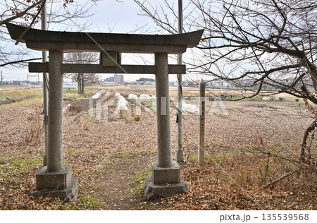 宮代町散歩：愛宕神社　埼玉県南埼玉郡宮代町和戸 135539568