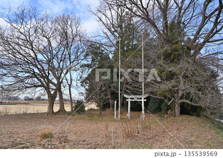 宮代町散歩：愛宕神社　埼玉県南埼玉郡宮代町和戸 135539569