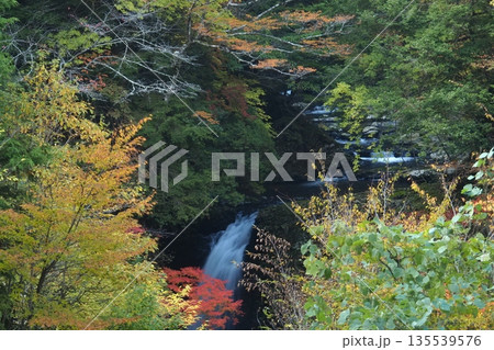 秋の高野大滝 135539576