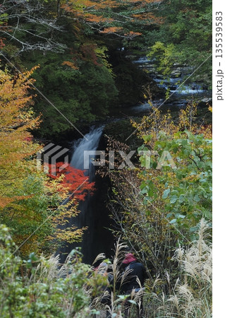 秋の高野大滝 秋の高野大滝 135539583