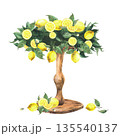 Watercolor Wooden stand decorated with lemon branches, citrus fruits and leaves. Hand drawn Italian Mediterranean style table decoration for dessert, wedding cake, birthday party isolated illustration 135540137