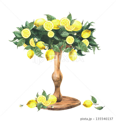 Watercolor Wooden stand decorated with lemon branches, citrus fruits and leaves. Hand drawn Italian Mediterranean style table decoration for dessert, wedding cake, birthday party isolated illustration Watercolor Wooden stand decorated with lemon branches, citrus fruits and leaves. Hand drawn Italian Mediterranean style table decoration for dessert, wedding cake, birthday party isolated illustration 135540137