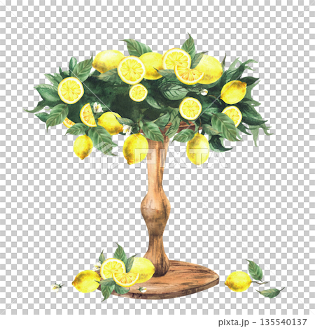Watercolor Wooden stand decorated with lemon branches, citrus fruits and leaves. Hand drawn Italian Mediterranean style table decoration for dessert, wedding cake, birthday party isolated illustration Watercolor Wooden stand decorated with lemon branches, citrus fruits and leaves. Hand drawn Italian Mediterranean style table decoration for dessert, wedding cake, birthday party isolated illustration 135540137
