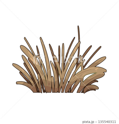 illustration of Dry grass illustration of Dry grass 135540311