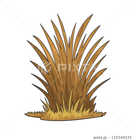 illustration of Savannah grass 135540335