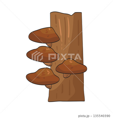 illustration of tree mushroom 135540390