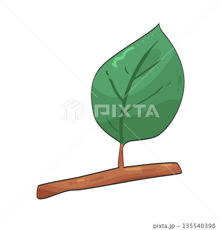 illustration of leaf  135540398
