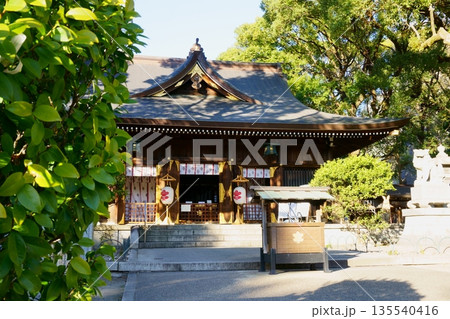 名古屋総鎮守 若宮八幡社 本殿 名古屋総鎮守 若宮八幡社 本殿 135540416