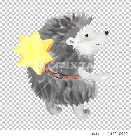 Hedgehog. Handmade watercolor illustration. For fabric, packing paper, greeting cards, design, decoration and illustration. Hedgehog. Handmade watercolor illustration. For fabric, packing paper, greeting cards, design, decoration and illustration. 135540435