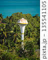 Water tower rising above dense tropical palm forest with turquoise sea and clear sky, island infrastructure surrounded by lush greenery and coastal landscape 135541105