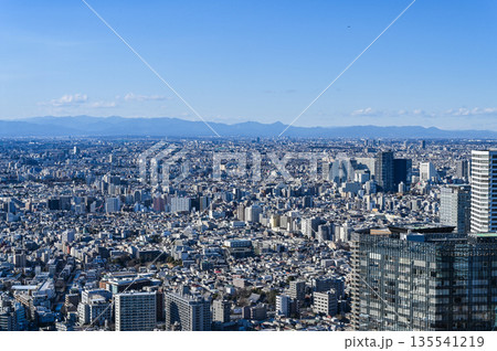 東京の都市風景 東京の都市風景 135541219