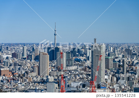 東京の都市風景 東京の都市風景 135541228
