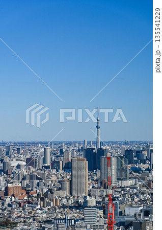 東京の都市風景 135541229
