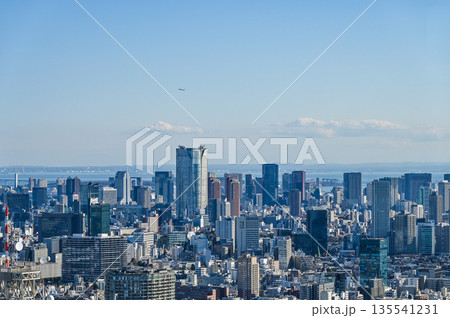 東京の都市風景 東京の都市風景 135541231
