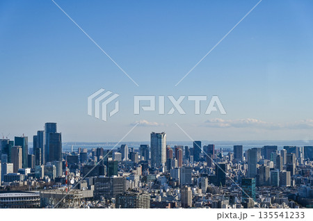 東京の都市風景 東京の都市風景 135541233