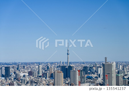 東京の都市風景 135541237