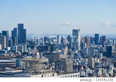 東京の都市風景 東京の都市風景 135541238