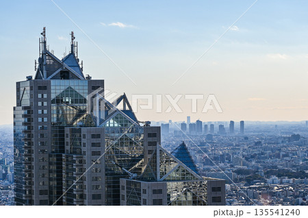 東京の都市風景 135541240