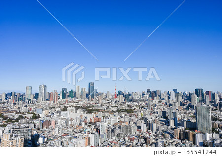 東京の都市風景 135541244